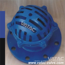 Wcb / Lcb RF Flange Pied vanne de pied